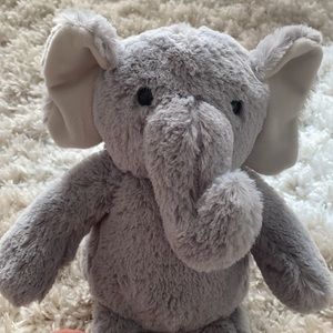 Teddy bear